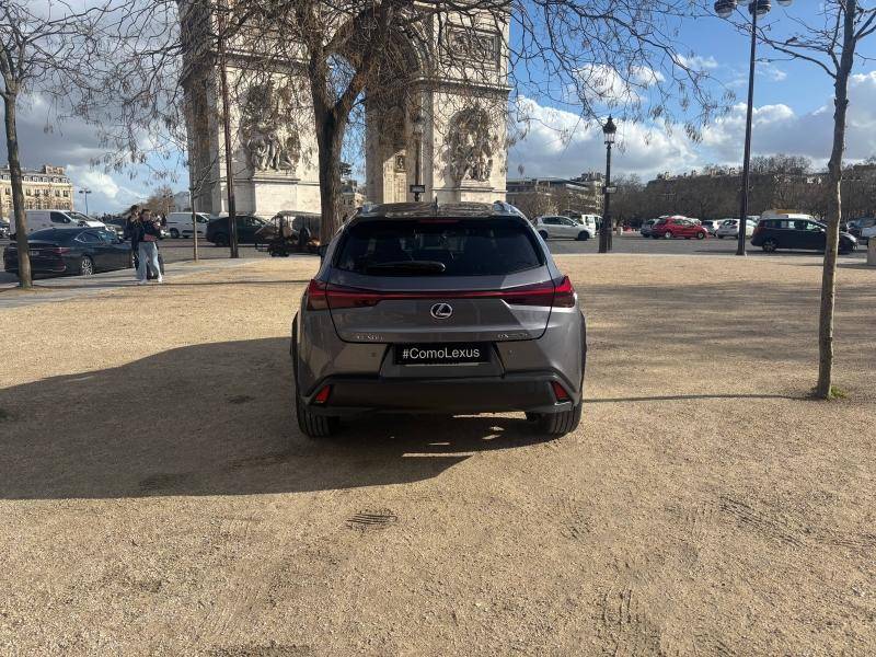Lexus UX MY20