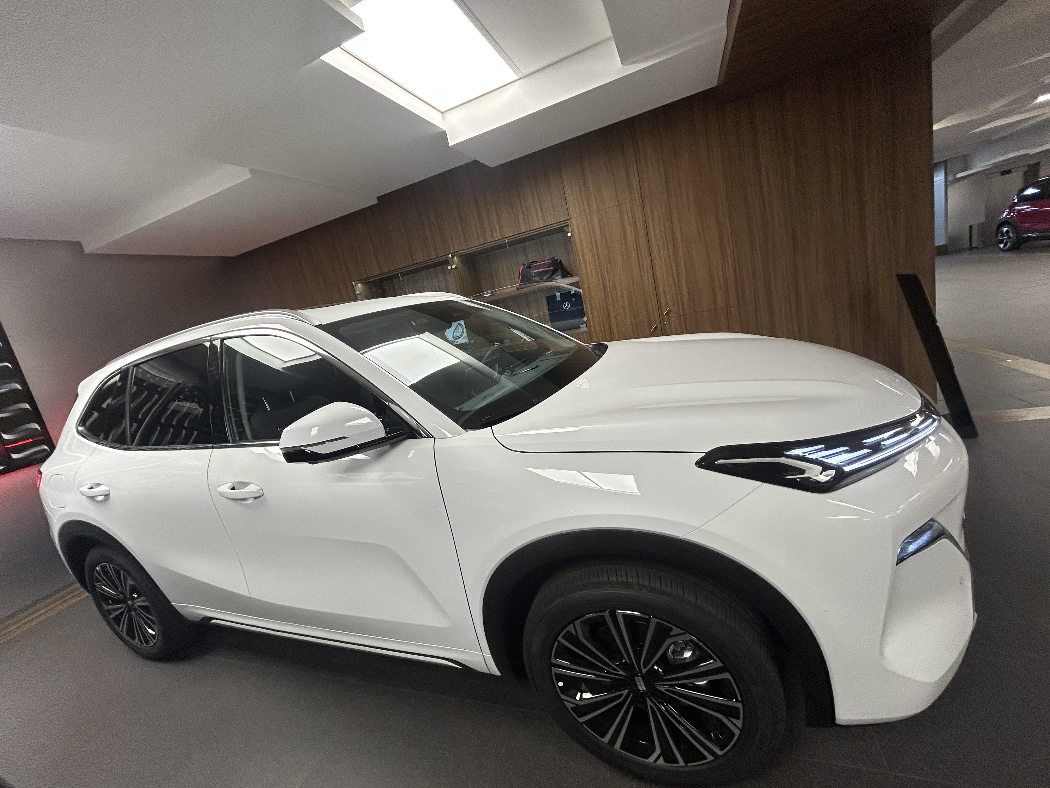 Geely Starray EM-i Max+ — photo 17