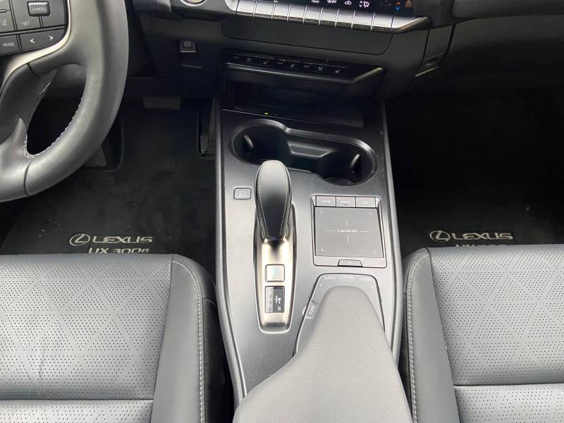 Lexus UX ELECTRIC